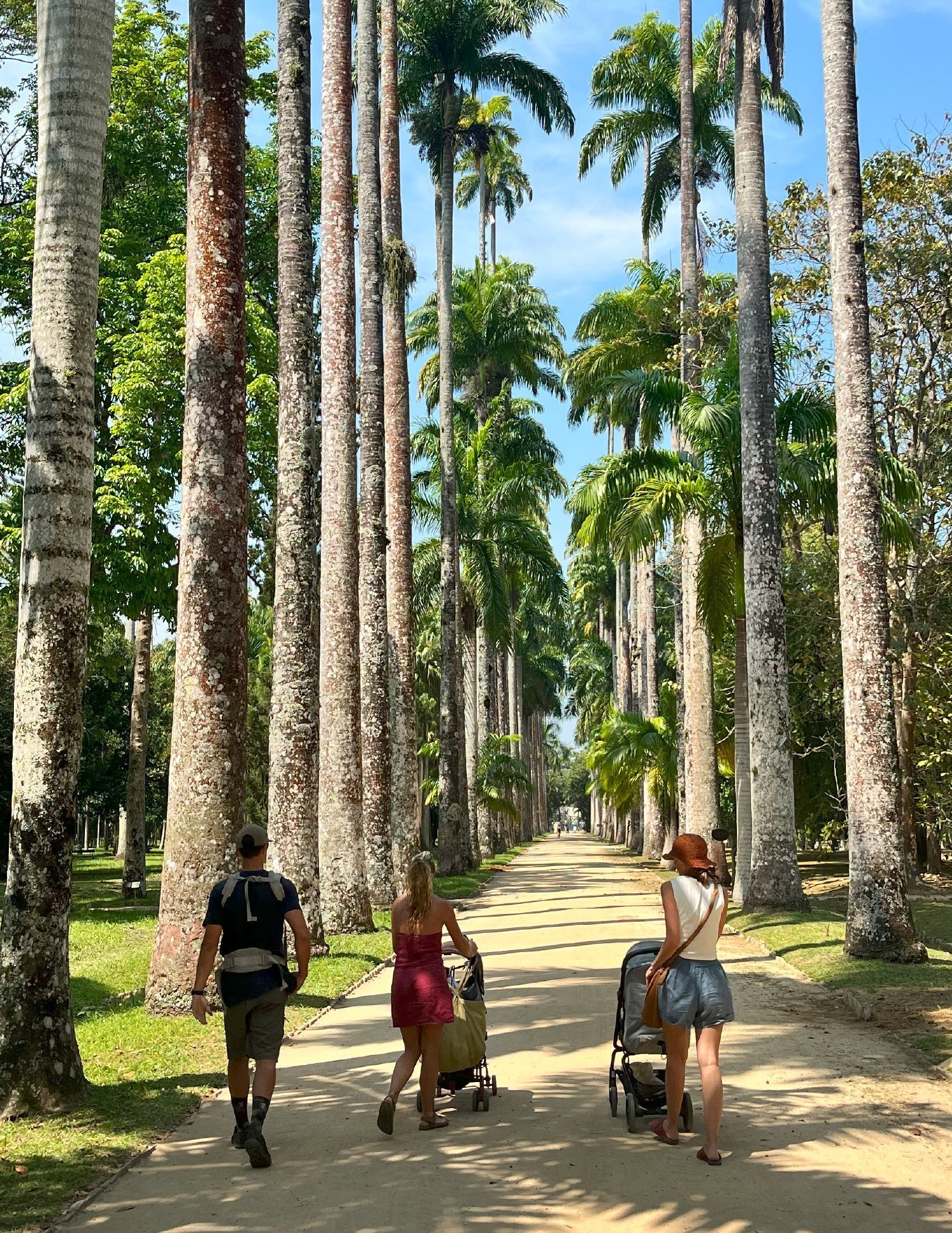 Conoce Rio de Janeiro