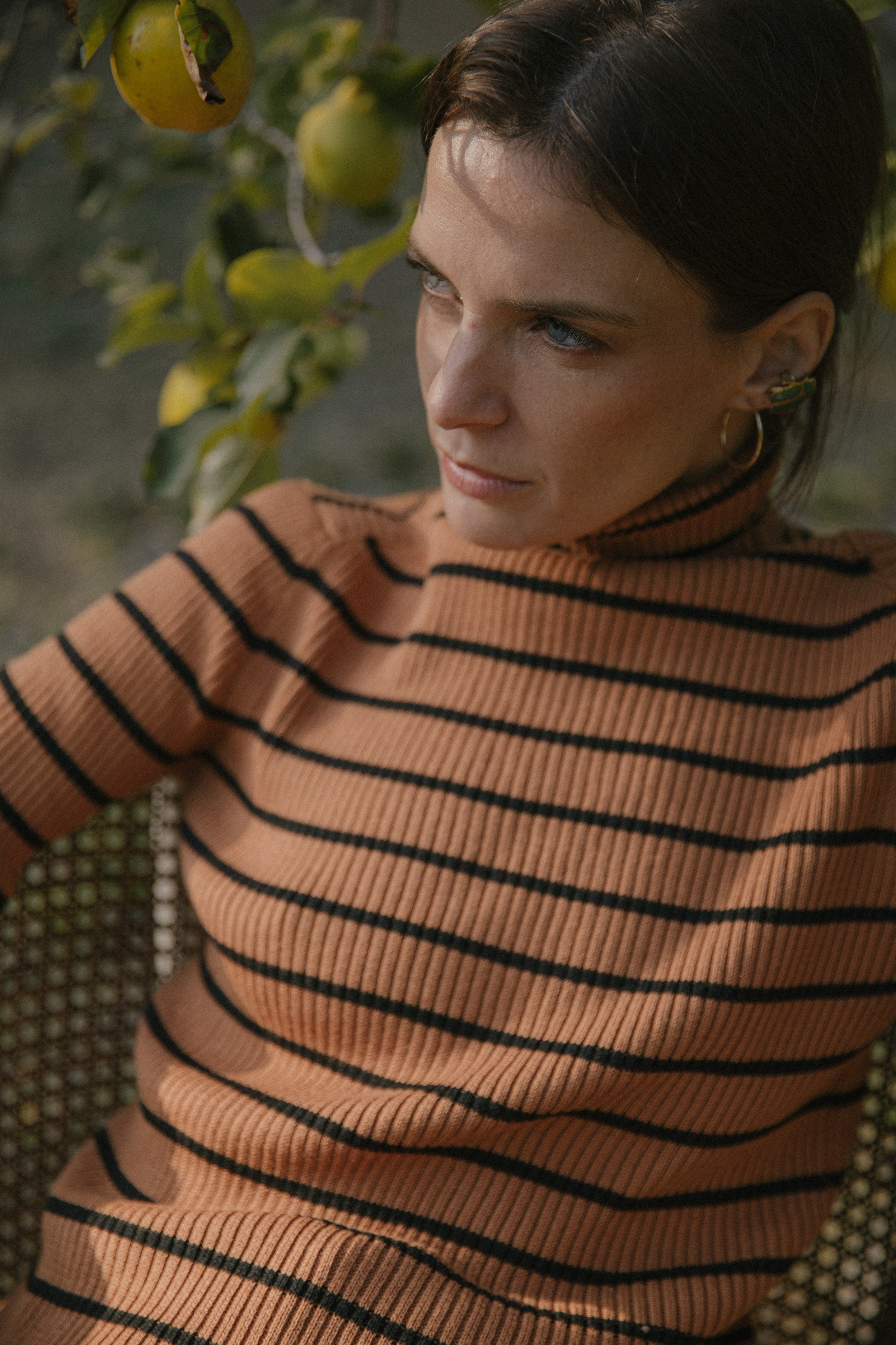 Sweater Ray · Camel