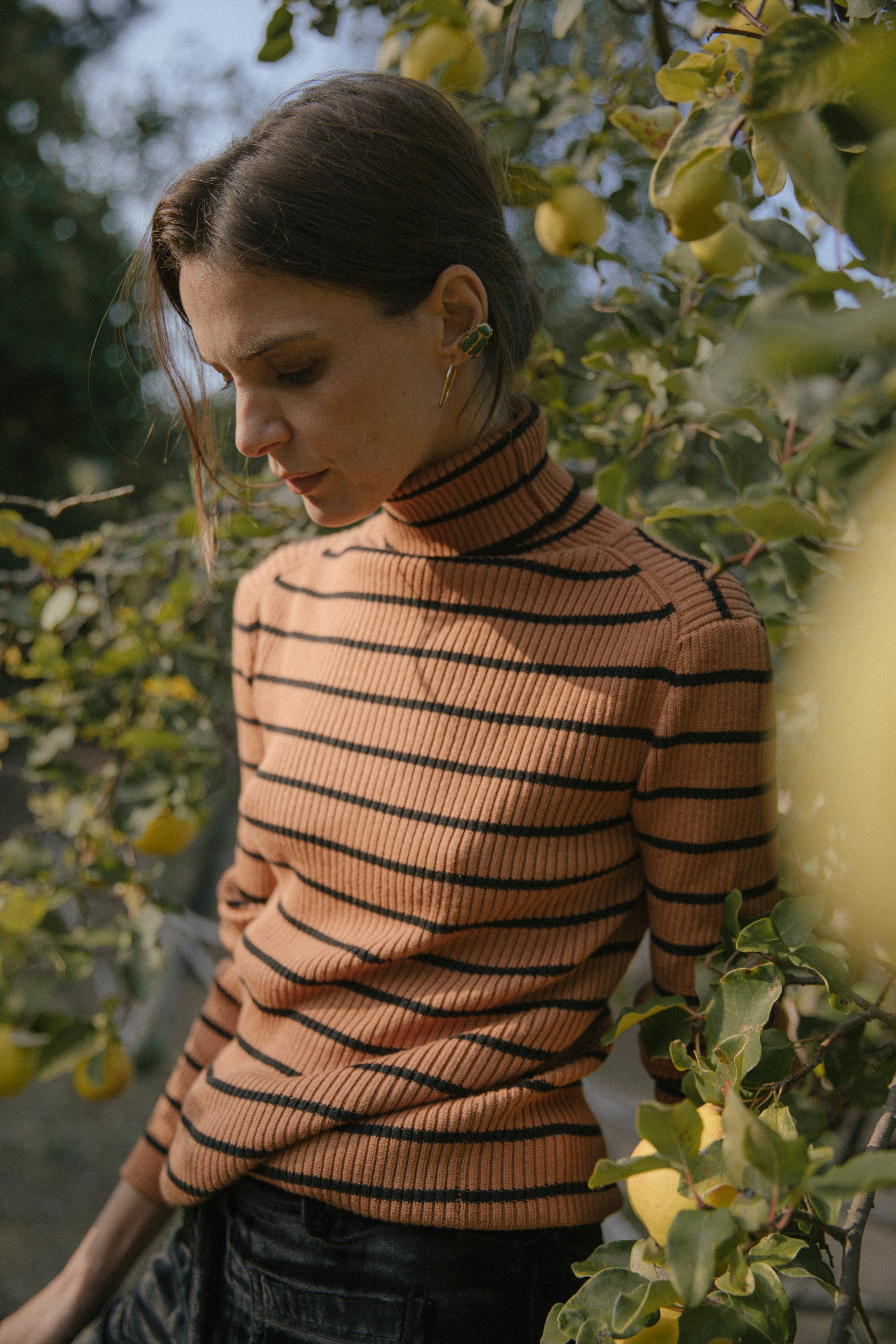 Sweater Ray · Camel
