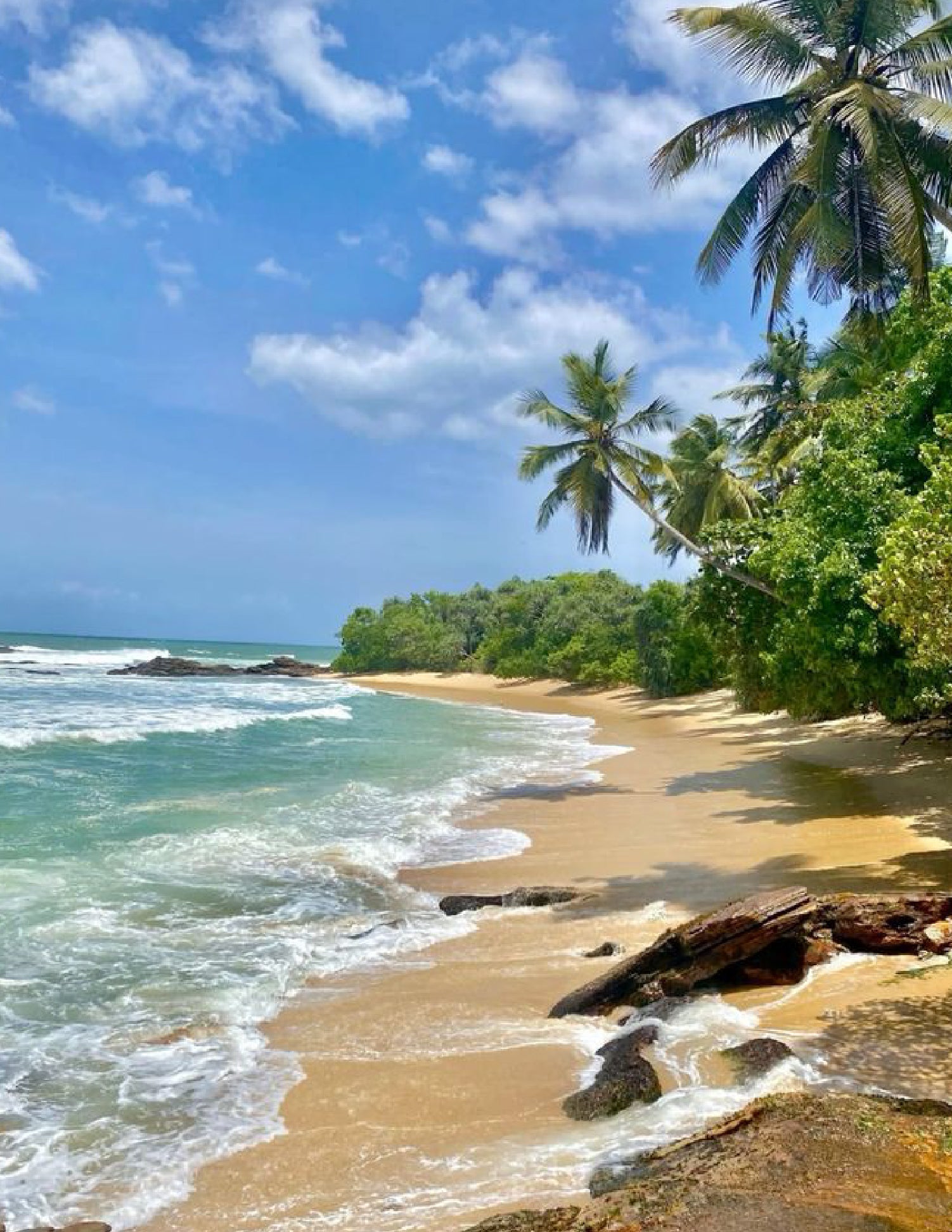 Descubriendo Sri Lanka