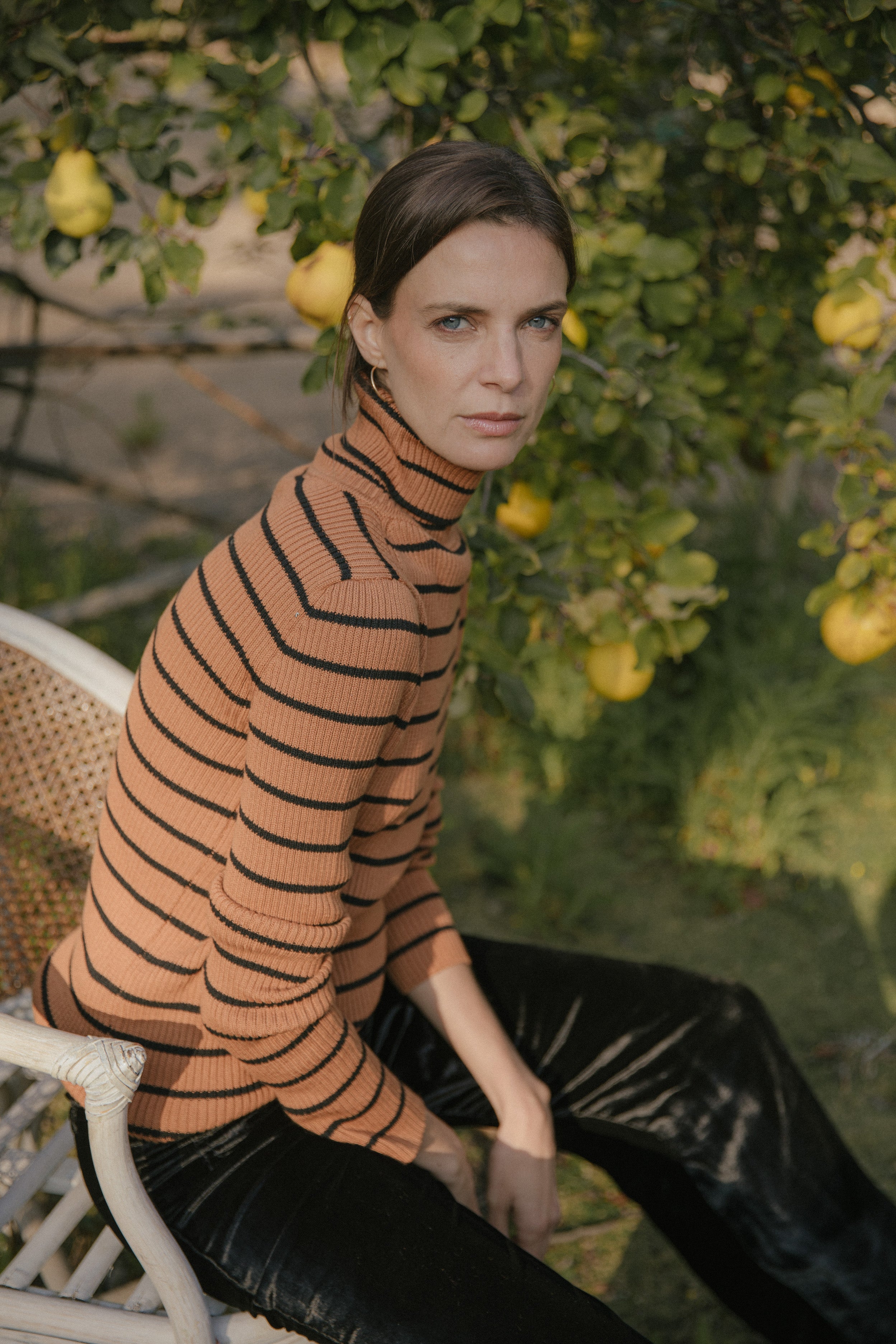 Sweater Ray · Camel
