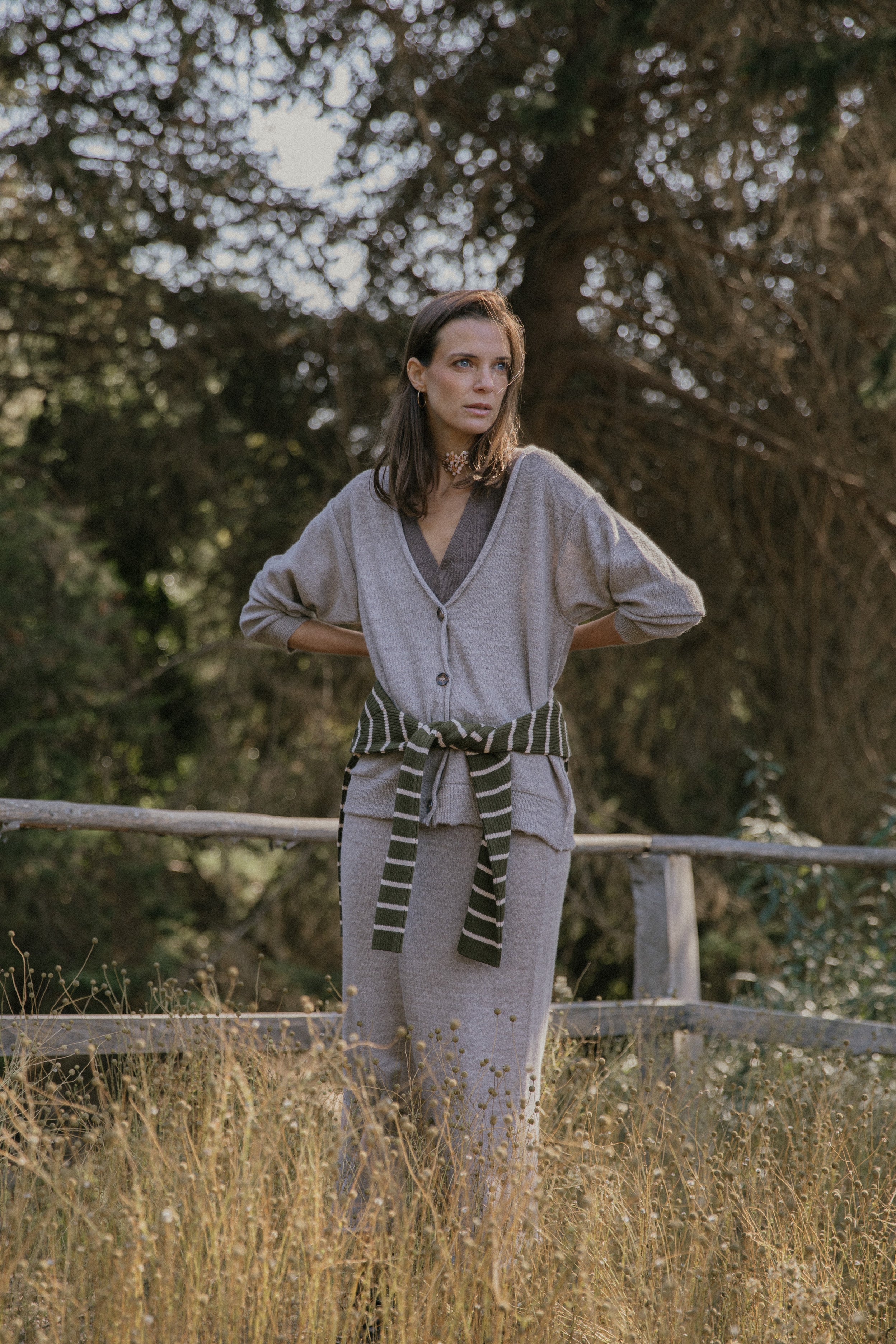 Cardigan Viena · Nacar